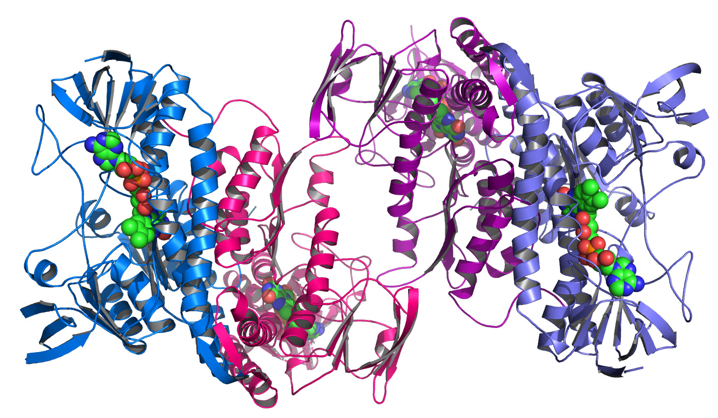 A 3D rendering of proteins